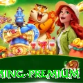 vvvpg - Gaming Premium